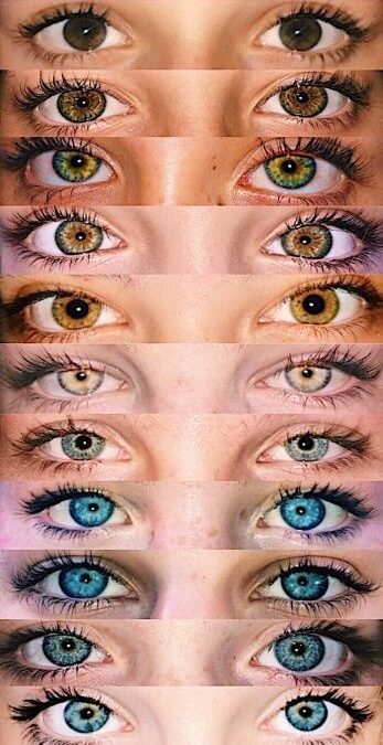 couleur des yeux