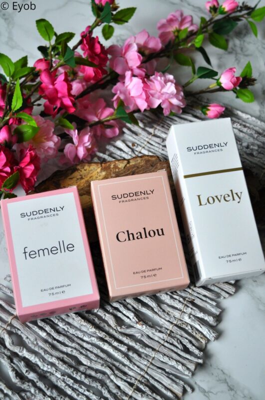lidl parfum dupe liste