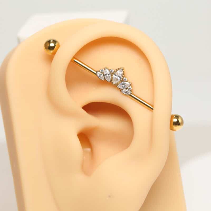 Cicatrisation industriel piercing