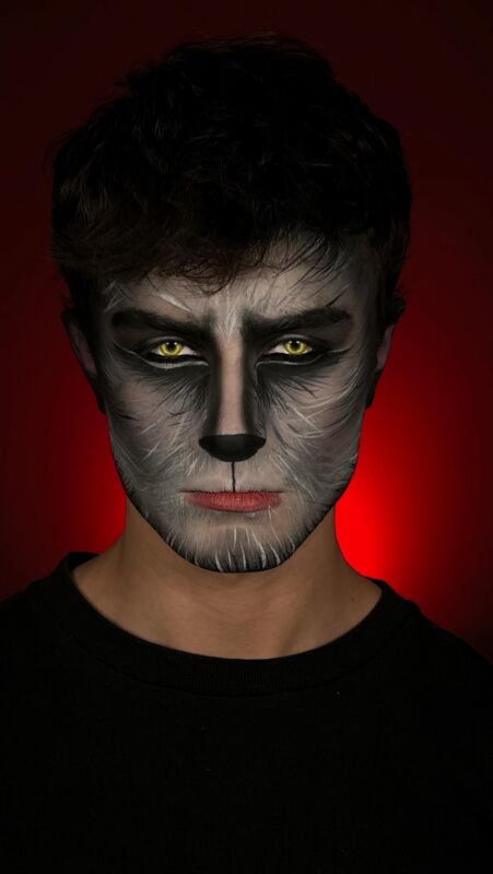 Makeup Loup Facile