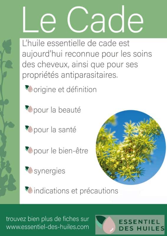 Huile de cade authentique