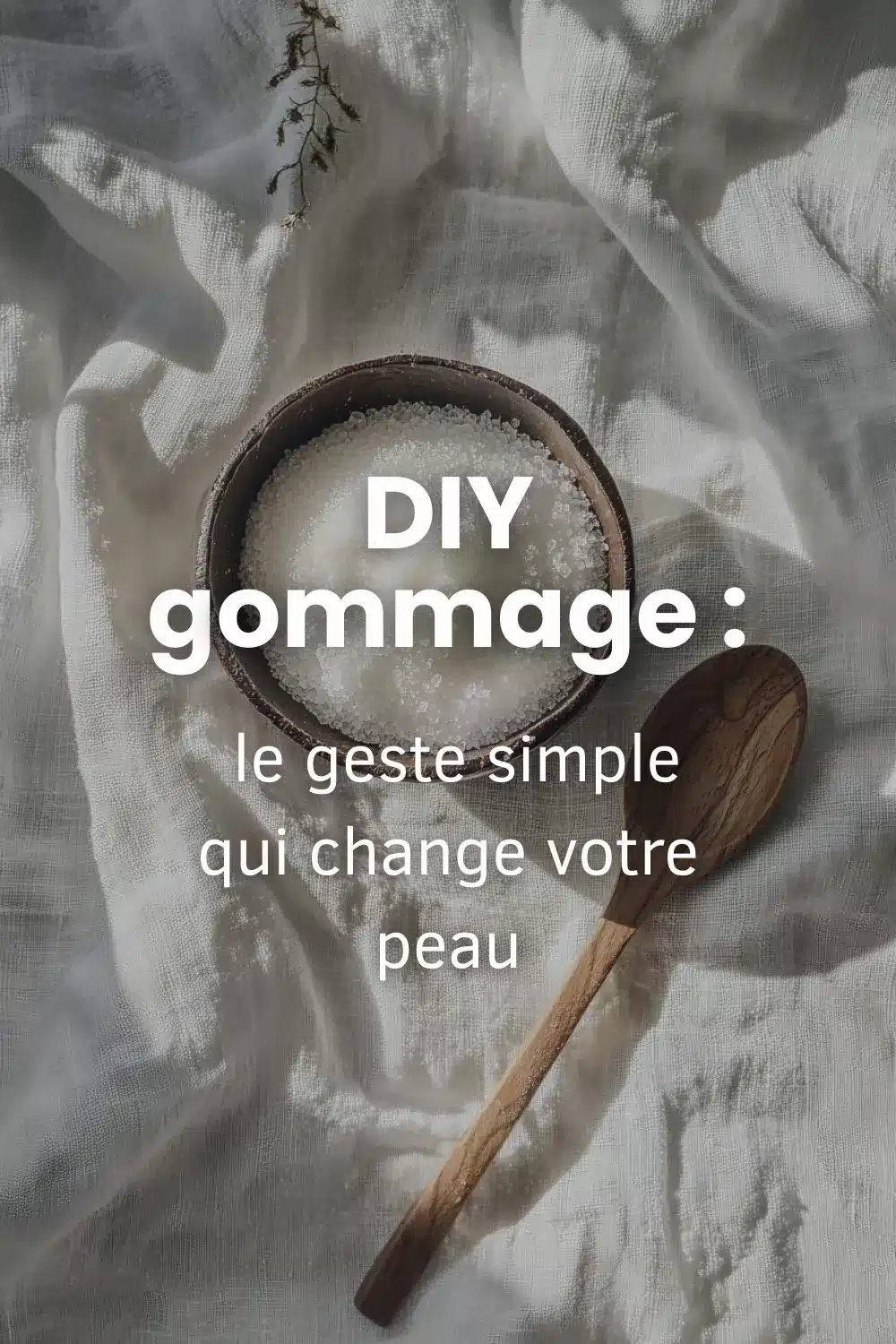 Exfoliant Visage Naturel