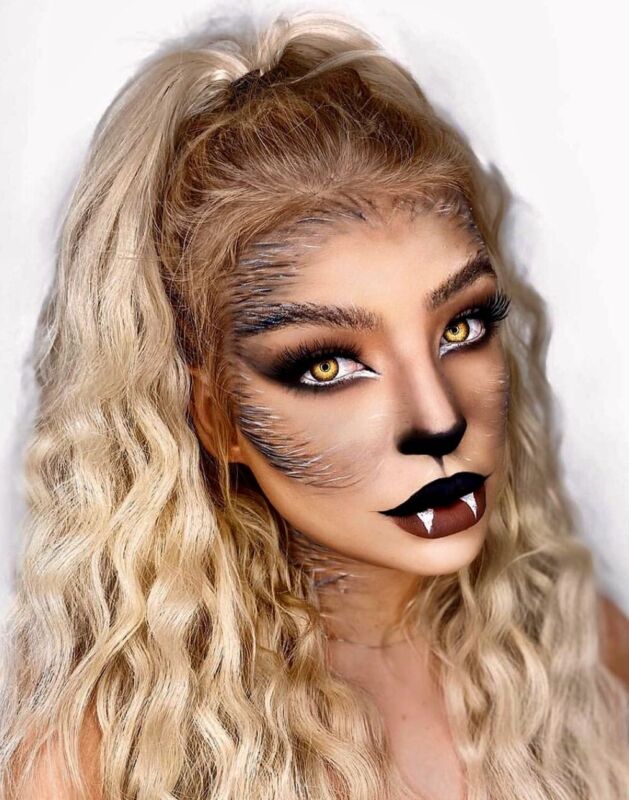Makeup Loup Facile