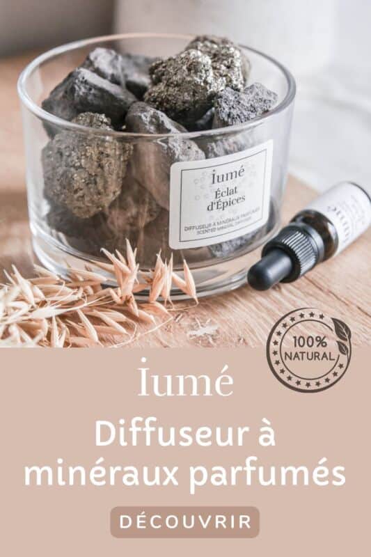 Diffuseur parfum naturel décoration