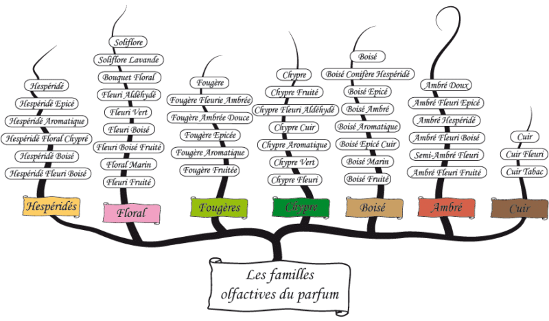 Tableau Correspondance Parfum