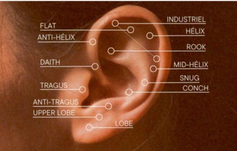 Inflammation cartilage oreille piercing