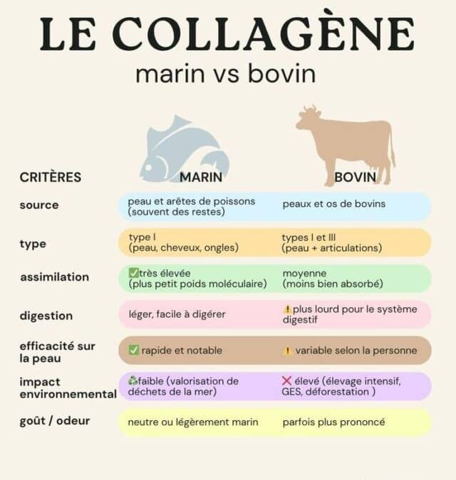 Collagène marin et noni: bienfaits pour votre peau et santé
